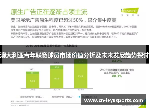 澳大利亚青年联赛球员市场价值分析及未来发展趋势探讨