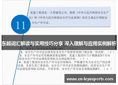 东超词汇解读与实用技巧分享 深入理解与应用实例解析