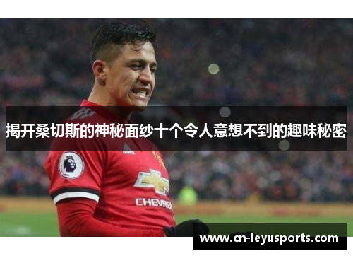 揭开桑切斯的神秘面纱十个令人意想不到的趣味秘密